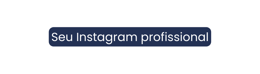 Seu Instagram profissional