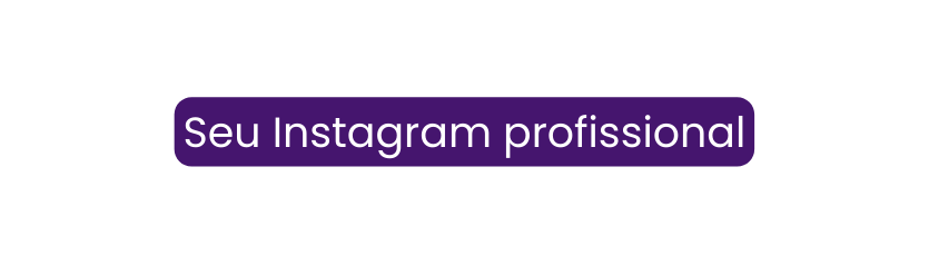 Seu Instagram profissional