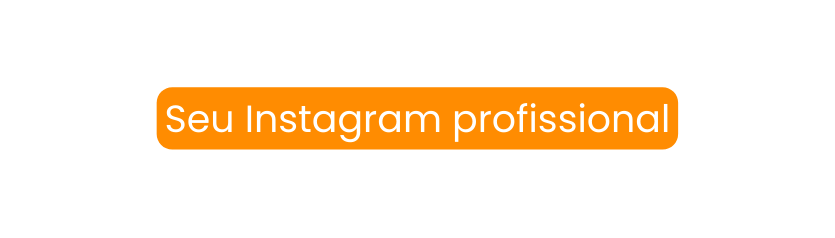 Seu Instagram profissional