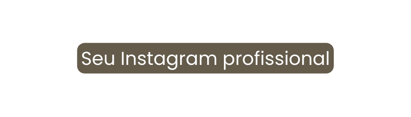 Seu Instagram profissional
