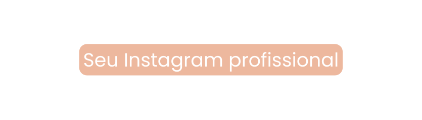 Seu Instagram profissional