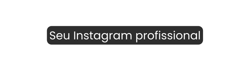 Seu Instagram profissional